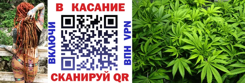 Наркотические вещества Вязники Гашиш  Конопля  Псилоцибиновые грибы  МЕФ 