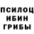 Галлюциногенные грибы Psilocybe mercoid,ill fated