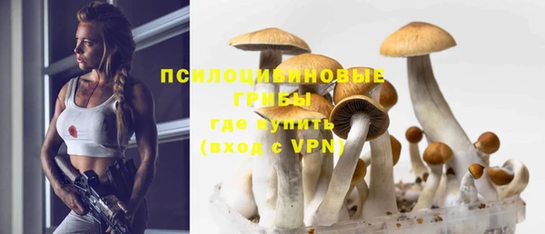 тгк Арсеньев