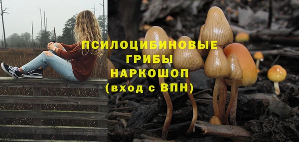 тгк Арсеньев