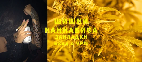 тгк Арсеньев