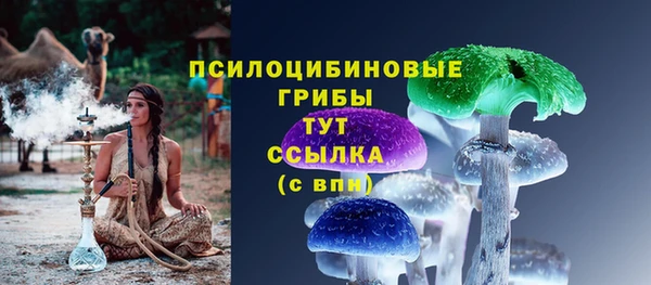 тгк Арсеньев